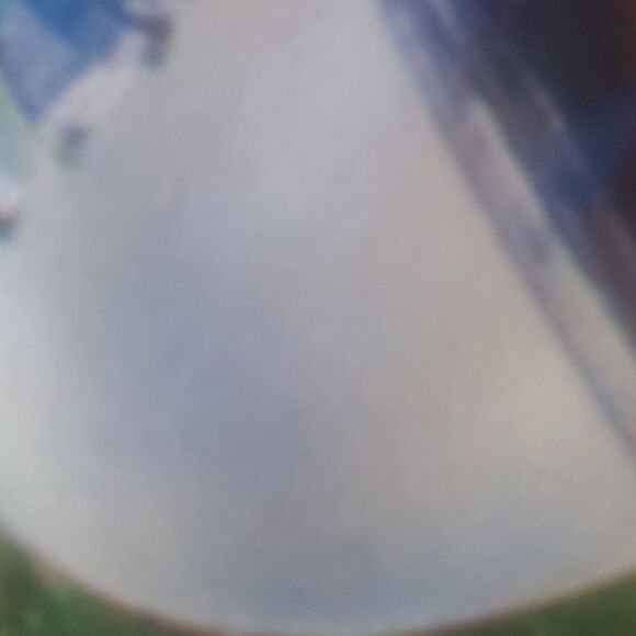 4@30.00 or 20.00 𝅺NWOT  Decorative Bottle Tree Banner - Picture 15 of 15